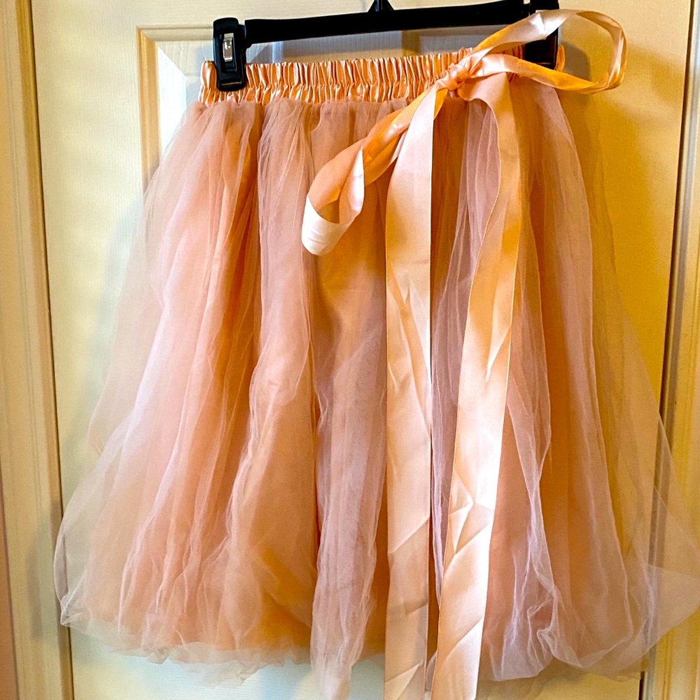 Blush Pink Tutu. Princess skirt. Adult.